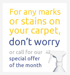 special offer carpet cleaning