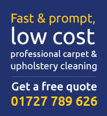 low cost professional carpet cleaning